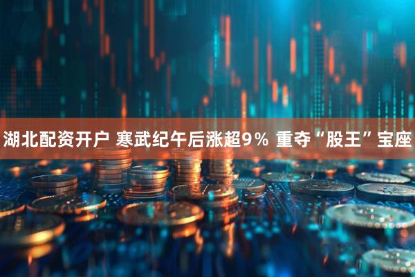 湖北配资开户 寒武纪午后涨超9％ 重夺“股王”宝座