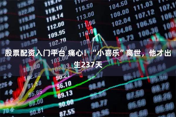 股票配资入门平台 痛心！“小喜乐”离世，他才出生237天